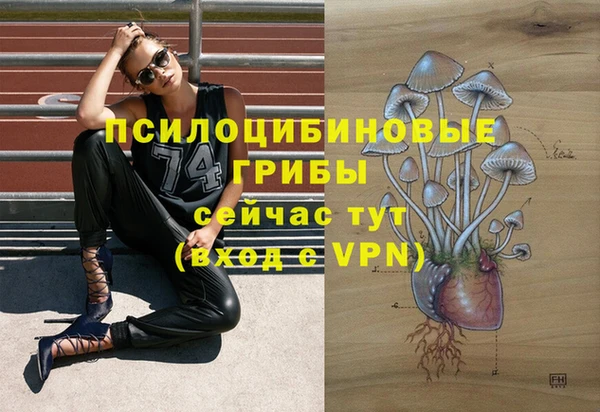 синтетический гашиш Зеленокумск