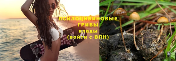 синтетический гашиш Зеленокумск