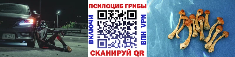 Галлюциногенные грибы мухоморы  Купить закладки  Чебаркуль 